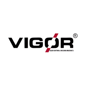 vigor logo
